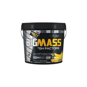 BigJoy Sports BIGMASS Gainer Çikolata-Muz 5000 gr Protein