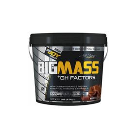 Bigjoy Sports Bigmass Gainer GH Factors 5000 gr Çikolata
