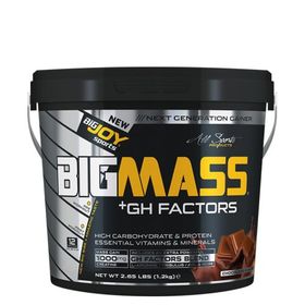 BigJoy Sports BIGMASS Gainer GH FACTORS Çikolata 1200 gr
