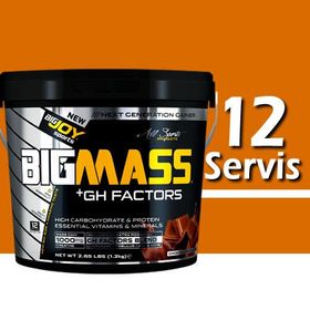 BigJoy Sports BIGMASS Gainer GH FACTORS Çikolata 1200 gr