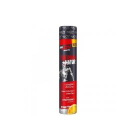 BigJoy Sports BIGMASS Gainer + GH FACTORS Çilek 3000 gr