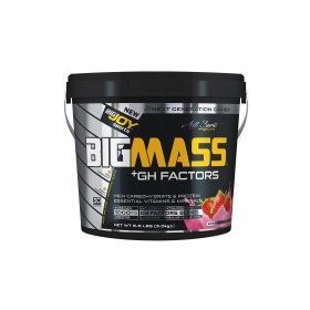 BigJoy Sports BIGMASS Gainer + GH FACTORS Muz 3000 gr