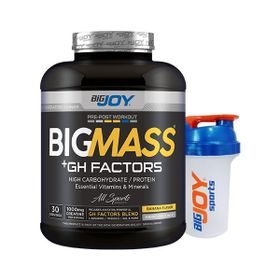 BigJoy Sports BIGMASS Gainer Mix-2 3000 gr Protein Tozu