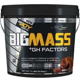 BigJoy Sports BIGMASSGO GH Factors Mix Aroma 50 Servis
