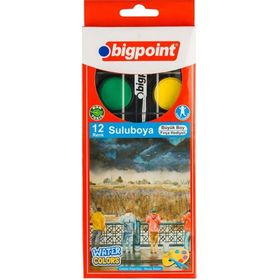 Bigpoint 12 Renk Suluboya