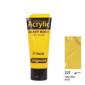 Bigpoint 227 Yellow Mid 75 ml Akrilik Boya