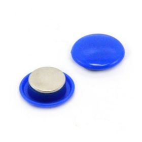 Bigpoint 30 mm Mıknatıs Mavi 6'lı Blister Plastik Kaplama Magnet