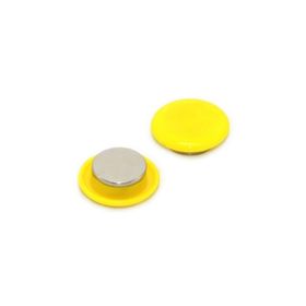 Bigpoint 30 mm Mıknatıs Sarı 6'lı Blister Plastik Kaplama Magnet