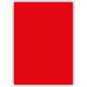 Bigpoint 50x70 cm 120 GR 100'lü Kırmızı Fon Kartonu