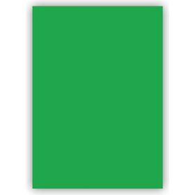 Bigpoint 50x70 cm 120 gr 100'lü Yeşil Fon Kartonu