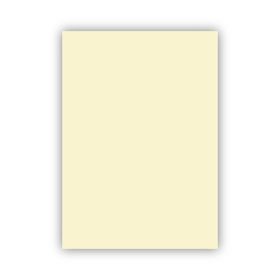 Bigpoint 50x70 cm 120 gr Fildişi Fon Kartonu