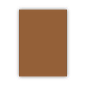 Bigpoint 50x70 cm 120 gr Kahverengi Fon Kartonu