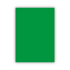 Bigpoint 50x70 cm 120 gr Koyu Yeşil Fon Kartonu
