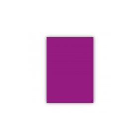 Bigpoint 50x70 cm 120 gr Mor Fon Kartonu