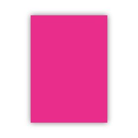 Bigpoint 50x70 CM 120 GR Pembe Fon Kartonu