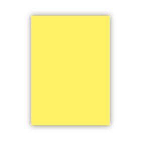 Bigpoint 50x70 CM 120 GR Sarı Fon Kartonu