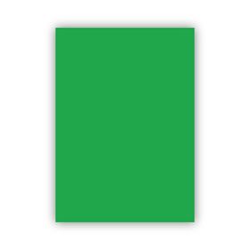 Bigpoint 50x70 cm 120 gr Yeşil Fon Kartonu
