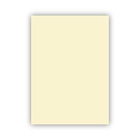 Bigpoint 50x70 cm 160 gr 100'lü Fildişi Fon Kartonu