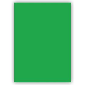 Bigpoint 50x70 CM 160 GR 100LÜ Yeşil Fon Kartonu