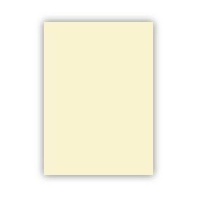 Bigpoint 50x70 cm 160 gr Fildişi Fon Kartonu