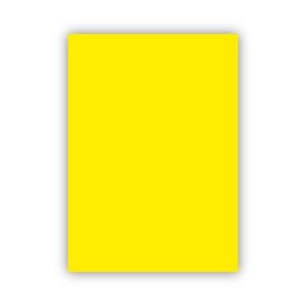 Bigpoint 50x70 CM 160 GR Limon Sarısı Fon Kartonu