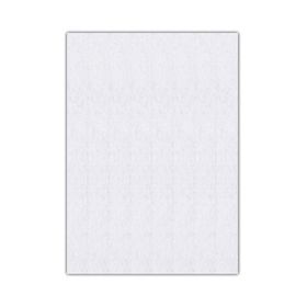 Bigpoint 50x70 cm 2 mm Beyaz 10'lu Keçe