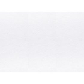 Bigpoint 50x70 cm 300 gr 10 Yaprak Suluboya Kağıdı