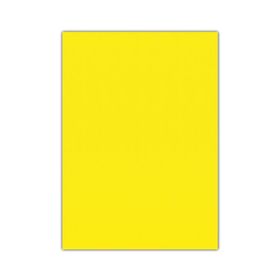 Bigpoint 50x70 cm Sarı 10'lu Eva