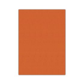 Bigpoint 50x70 cm Turuncu 10'lu Eva