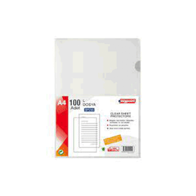 Bigpoint 90 Mikron 100 lü Paket Dosya Standart