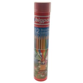 Bigpoint BP94112 12'li Metal Tüp Boya Kalemi