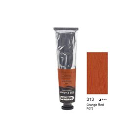 Bigpoint BPPO0645-313 Yağlı Boya