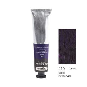 Bigpoint BPPO0645-780 45 ml Yağlı Boya