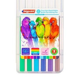 Bigpoint Plastik Kutulu 12'li Fırça Uçlu Keçeli Kalem Set