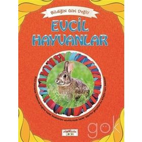Bildiğin Gibi Değil - Evcil Hayvanlar - Asena Meriç