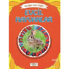 Bildiğin Gibi Değil - Evcil Hayvanlar - Asena Meriç