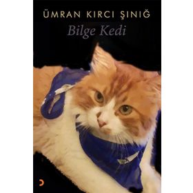 Bilge Kedi - Ümran Kırcı Sınığ