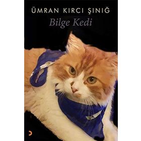 Bilge Kedi - Ümran Kırcı Sınığ