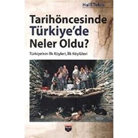 Bilgin Kültür Sanat Tarihöncesinde Türkiye’de Neler Oldu ?