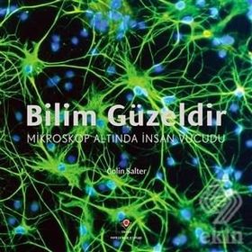 Bilim Güzeldir - Mikroskop Altında İnsan Vücudu - Colin Salter