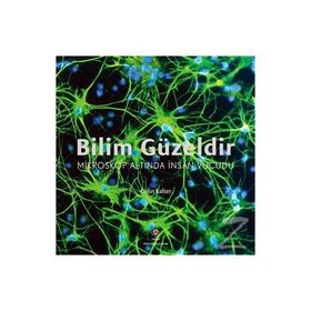 Bilim Güzeldir - Mikroskop Altında İnsan Vücudu - Colin Salter