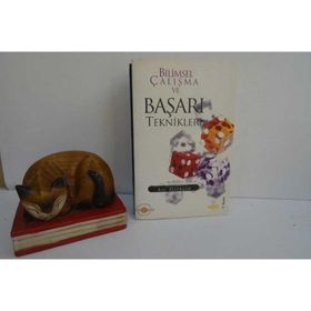 BILIMSEL ÇALŞMA VE BAŞARI TEKNIKLERI - ALI ÖZERGİN