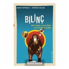 Bilinç - Bilincin Kaynağını ve Zihin ile İlişkisini Daha İyi Anlamak için Çizgibilim - David Papineau