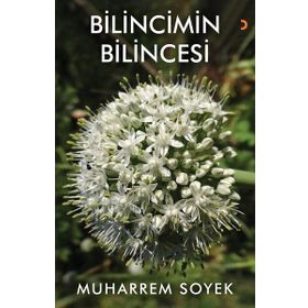 Bilincimin Bilincesi - Muharrem Soyek