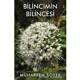 Bilincimin Bilincesi - Muharrem Soyek