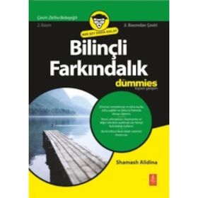 Bilinçli Farkındalık For Dummies - Shamash Alidina