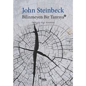 Bilinmeyen Bir Tanrıya - John Steinbeck