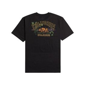 Billabong Arch Siyah Erkek T-shirt