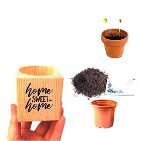Bilsev Pazarlama Özel Tasarım Home Sweet Home Temalı Hediyelik Papatya Ekim Seti