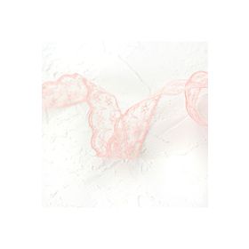 Bimotif 2 m 2 cm Yavruağzı Dantel Şerit